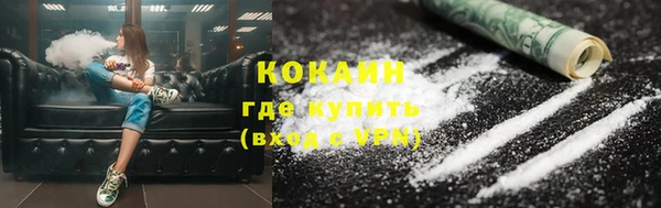 ПСИЛОЦИБИНОВЫЕ ГРИБЫ Пересвет