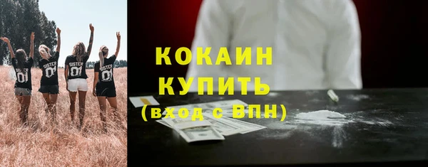 ПСИЛОЦИБИНОВЫЕ ГРИБЫ Пересвет