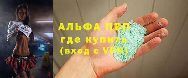 PSILOCYBIN Покачи
