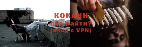 ГАЛЛЮЦИНОГЕННЫЕ ГРИБЫ Покров