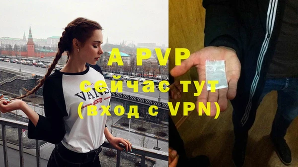 PSILOCYBIN Покачи