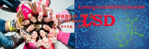 ПСИЛОЦИБИНОВЫЕ ГРИБЫ Пересвет