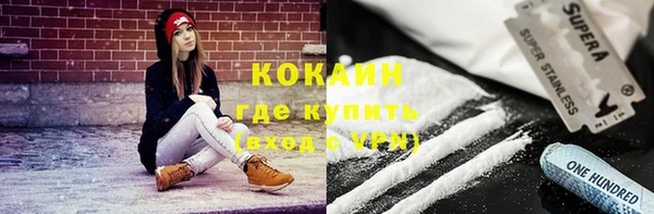 PSILOCYBIN Покачи