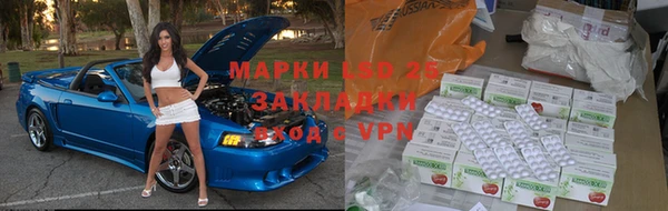 PSILOCYBIN Покровск