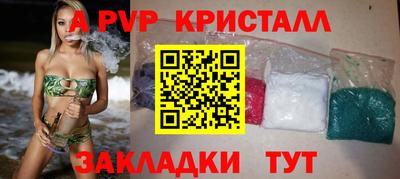 прущие грибы Краснодар