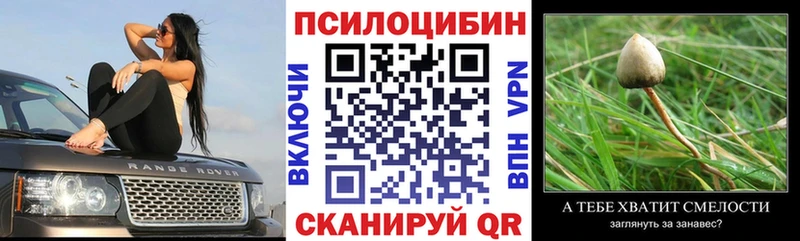 Псилоцибиновые грибы MAGIC MUSHROOMS  Кохма 