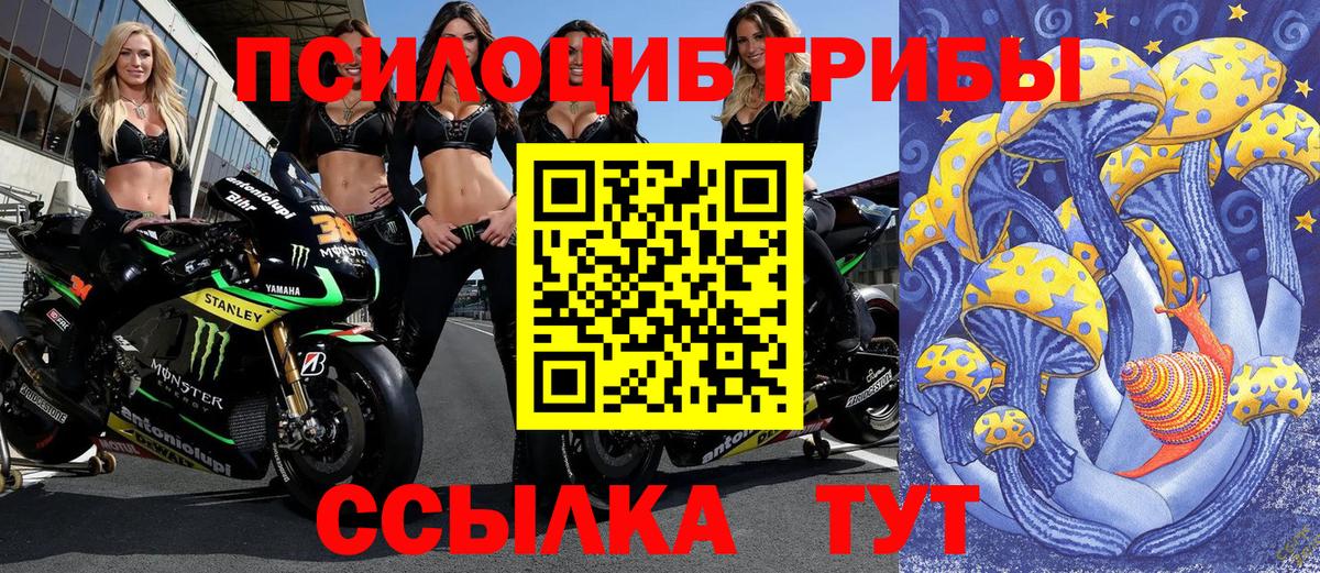 Кохма  Псилоцибиновые грибы мухоморы  Вход с VPN  Псилоцибиновые грибы MAGIC MUSHROOMS 