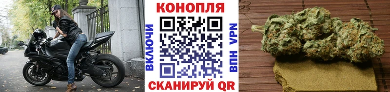 Каннабис сатива blacksprut как войти Кохма